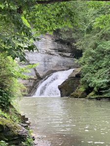 Six Mile Creek Natural area waterfall pic