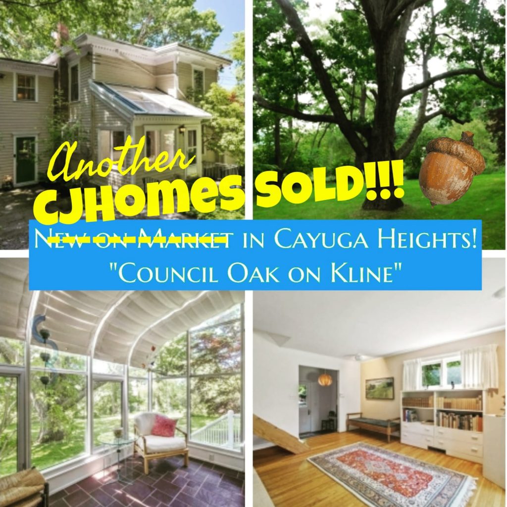 SOLD in 2020: 131 Kline Road