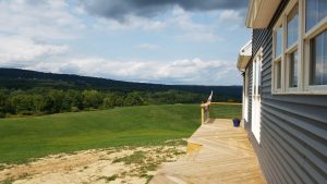 1615 W Danby Road, Newfield