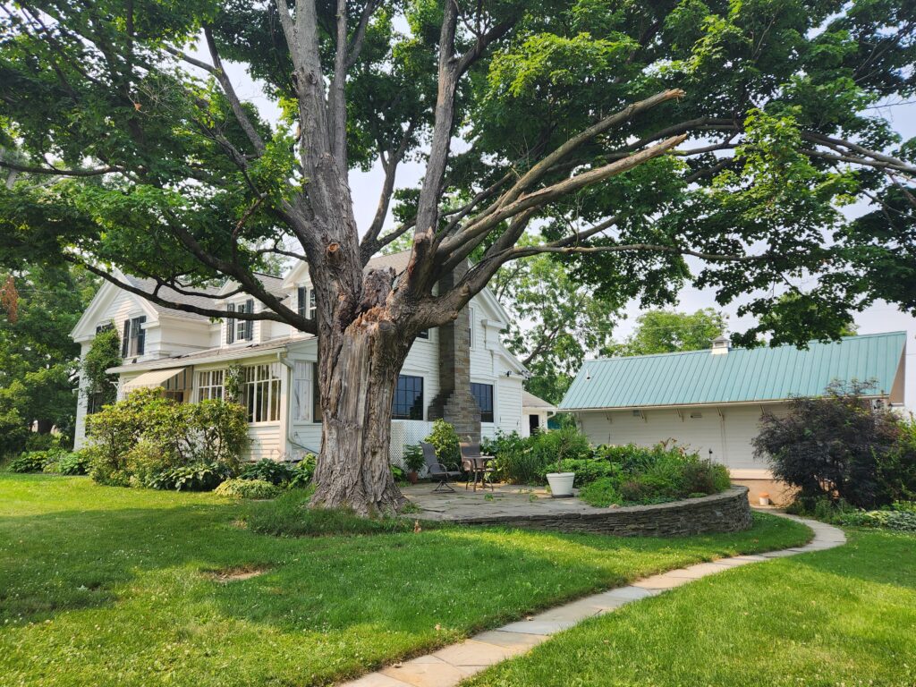 226 Hines Road front